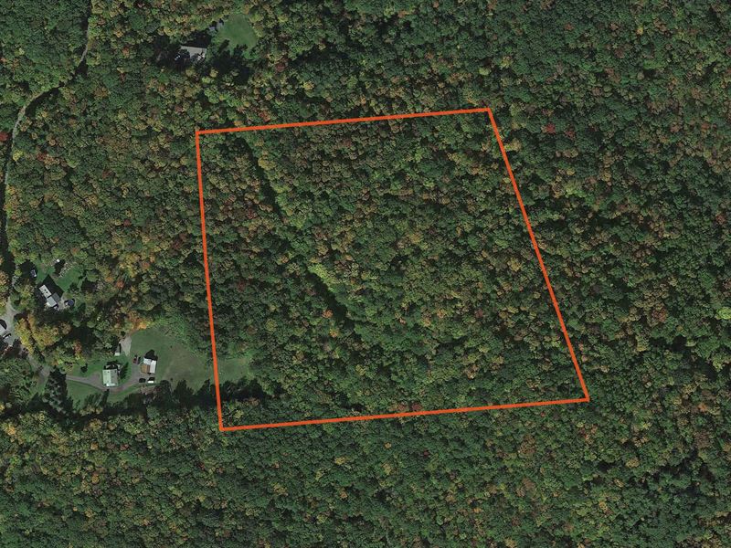 Private Building Lot with Woods : Stephentown : Rensselaer County : New York
