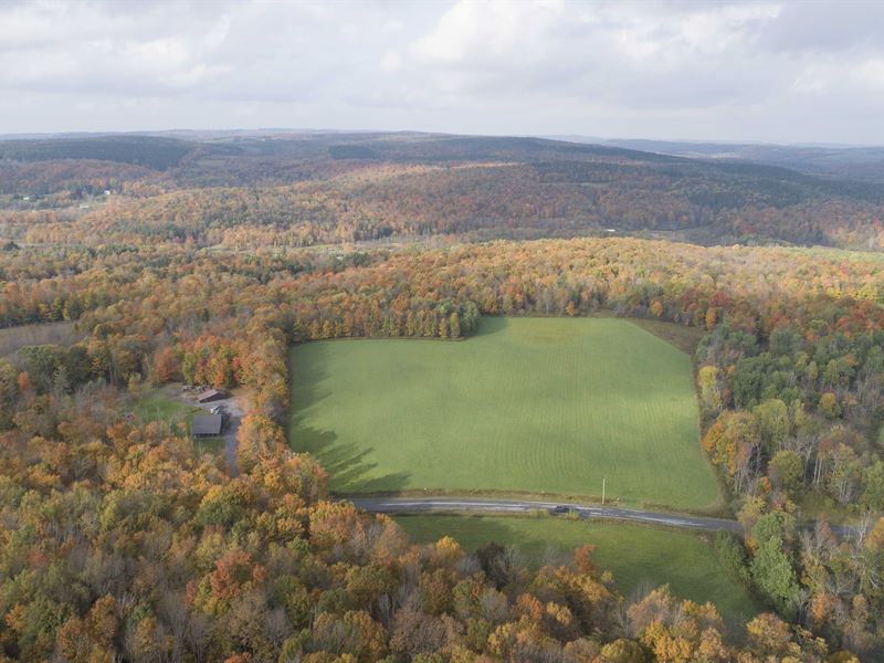 Rolling Open Fields and Woods : Nelson : Madison County : New York