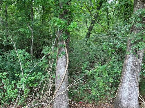 Wooded Parcel with Pond : Dothan : Houston County : Alabama