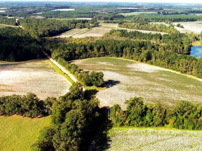 Tillman Pond Farm : Register : Bulloch County : Georgia