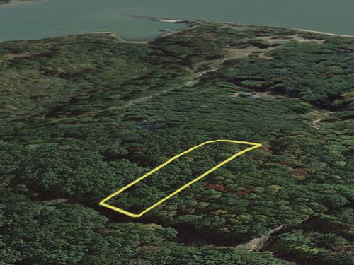 .54 Acre Lot on KY Lake, TN : Dover : Stewart County : Tennessee