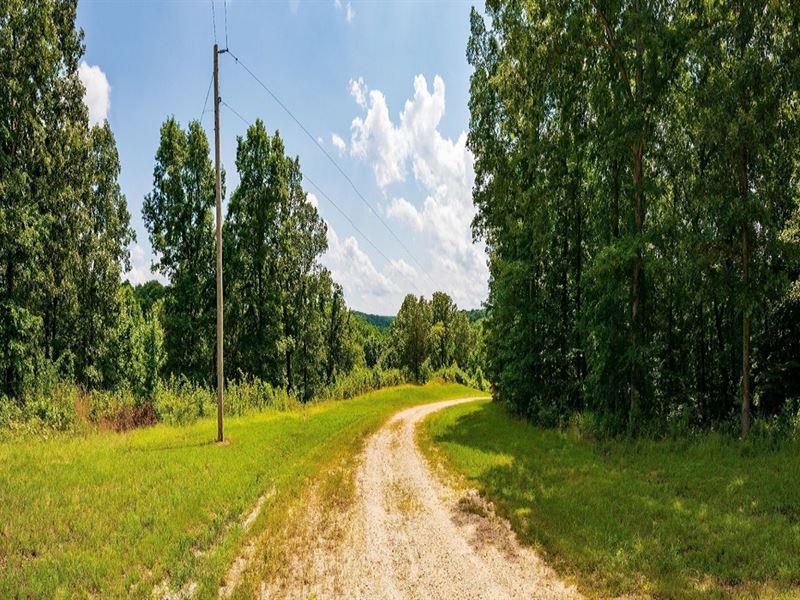 10 Ac at Duck River, Pond : Hurricane Mills : Humphreys County : Tennessee