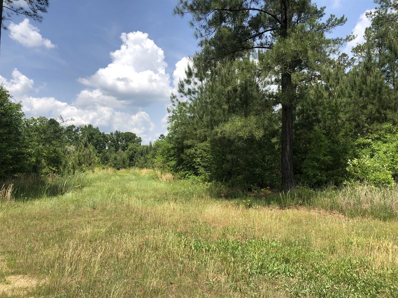 Land For Sale Floyd County Ga