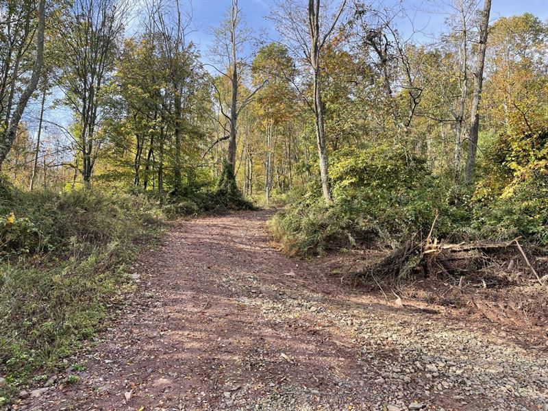 Huntingdon County 239.73 Acres Land for Sale in Robertsdale