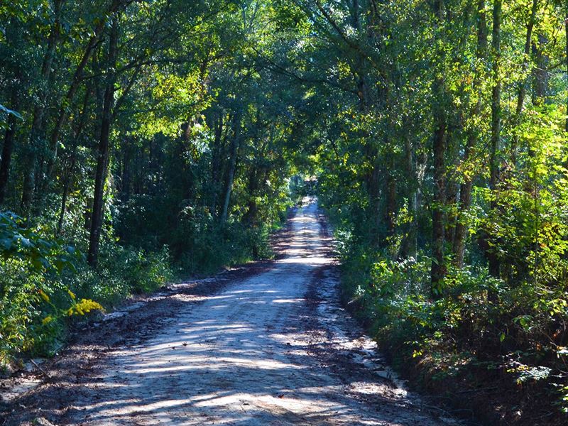 Holmes Timber & Hunting Tract : Florida : Holmes County : Florida