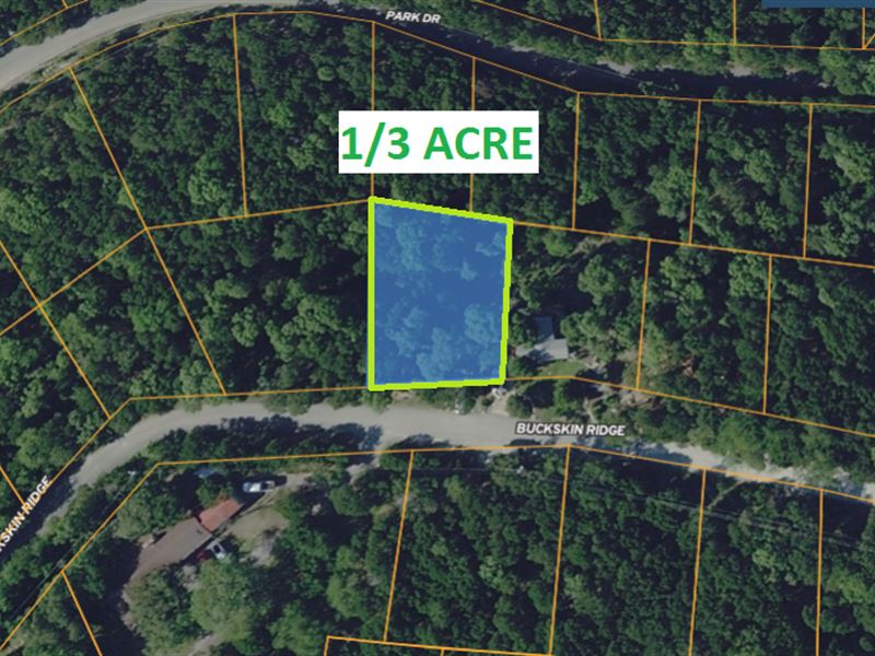 1/3 Acre in Austin, Lago Vista : Lago Vista : Travis County : Texas