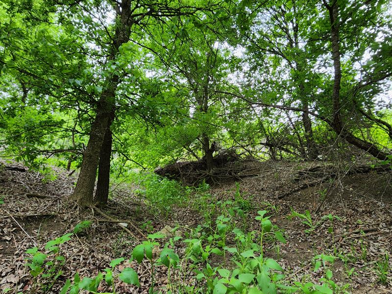 14 Ac, Cedar Creek Rd : Temple : Bell County : Texas