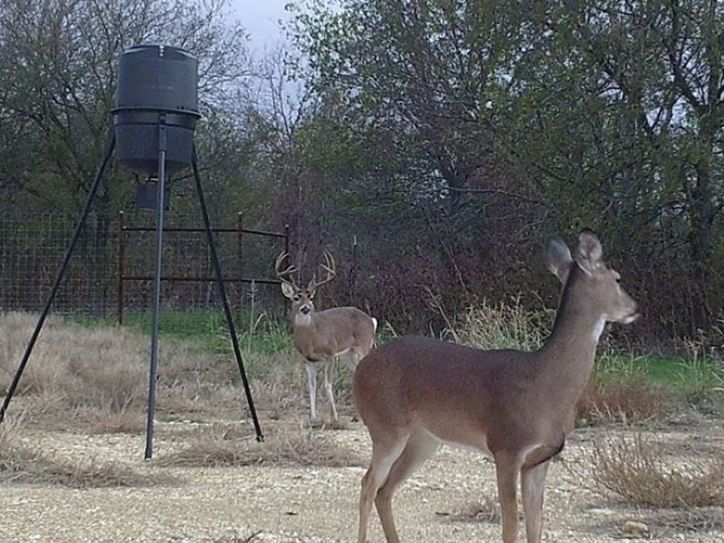 5641 Airport Trail : Temple : Bell County : Texas