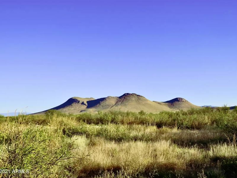 Don't Miss 40 Ac by 3 Mtn Ranges : Pearce : Cochise County : Arizona