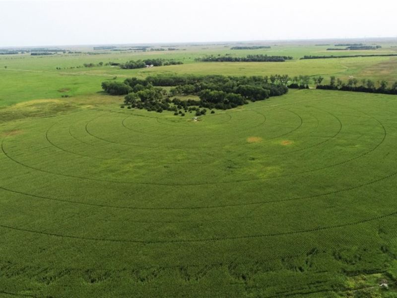 Ainsworth Pivot Irrigated Farm : Ainsworth : Brown County : Nebraska