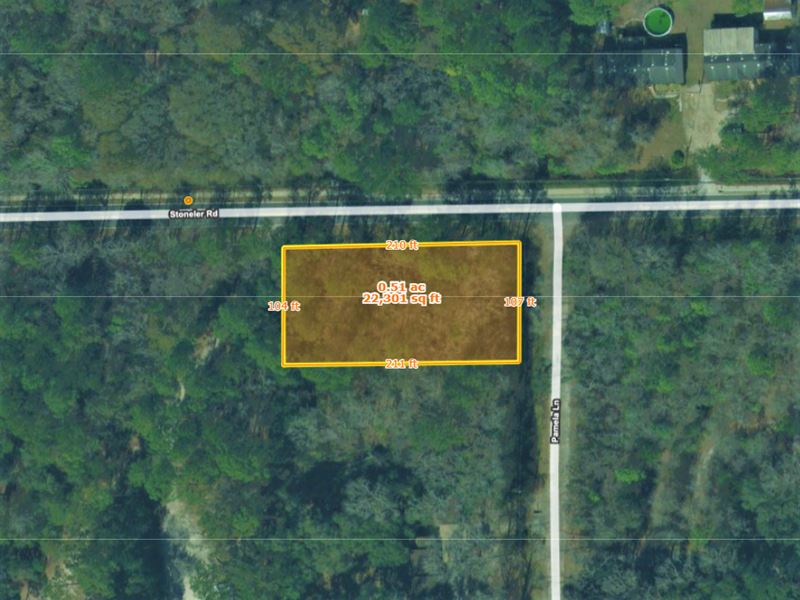 Nice Lot Near Ochlockonee River : Tallahassee : Leon County : Florida