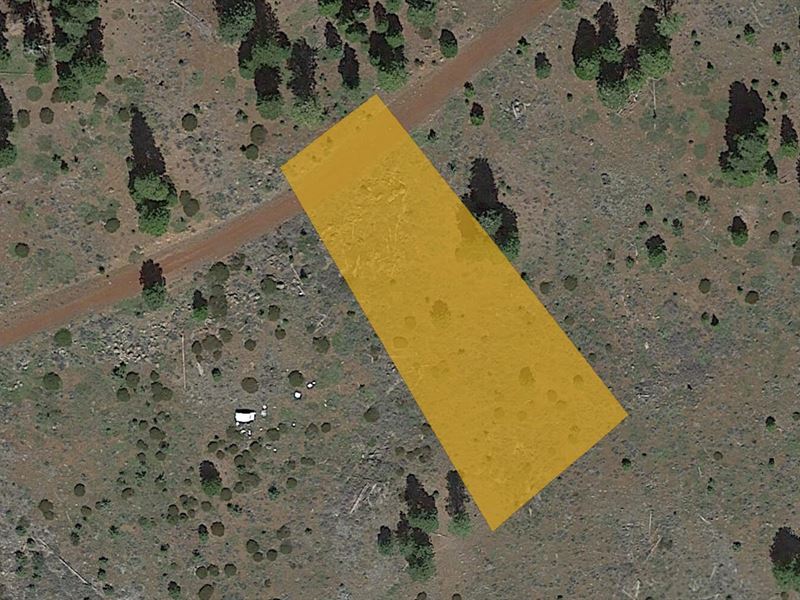 Hilltop Lot with Stunning Views : Alturas : Modoc County : California