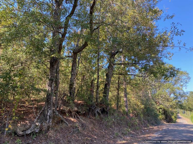 44 +/- Acres with Creek : Liberty : Amite County : Mississippi