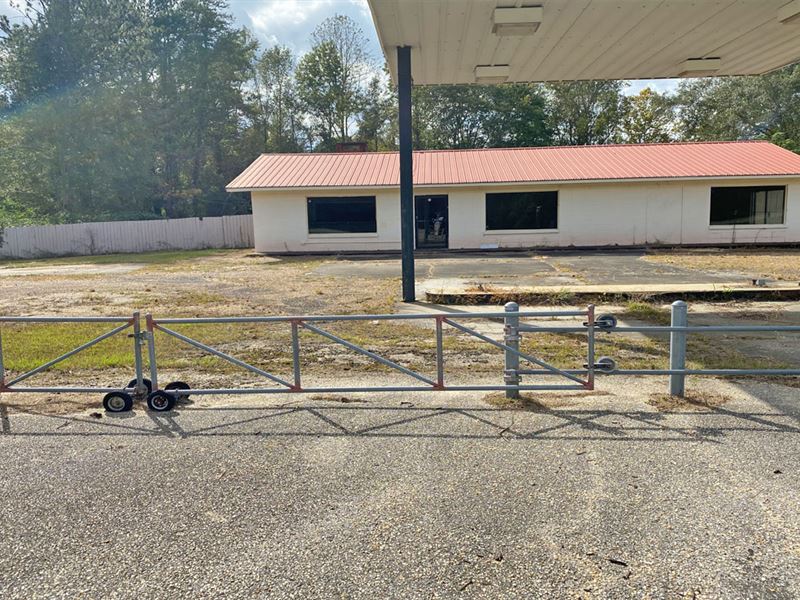 Hwy 231 Commercial : Troy : Pike County : Alabama