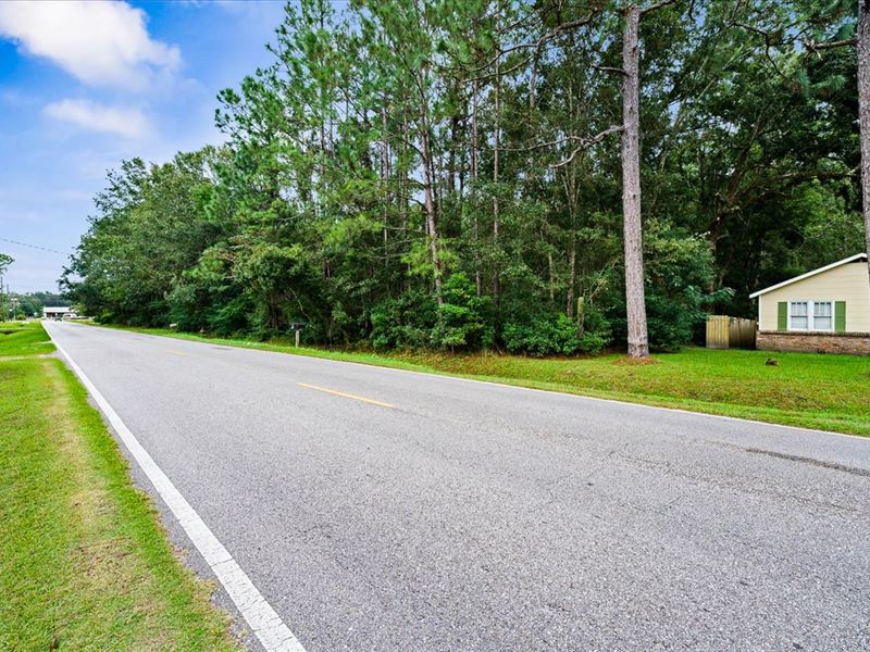 Large Lot, City Water and Sewer : Mobile : Mobile County : Alabama
