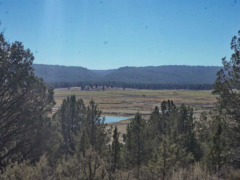 Views of Sprague River Land for Sale by Owner in Sprague River