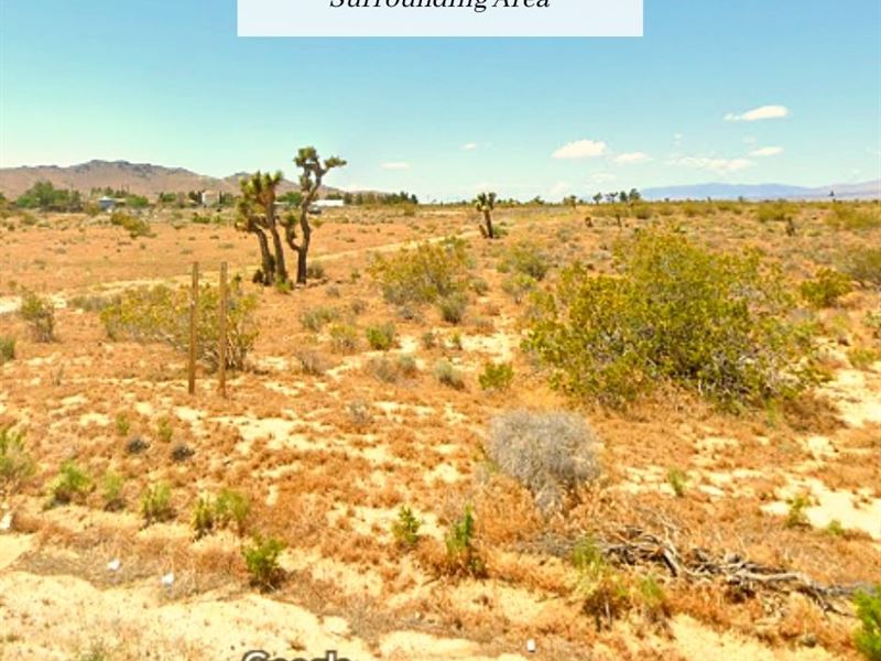 5 Acres Only $1 Down, $299/Mo : Rosamond : Kern County : California