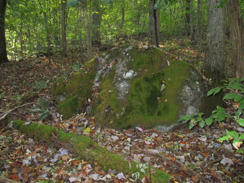 Rock Formations, Seasonal Views : Pikeville : Bledsoe County : Tennessee