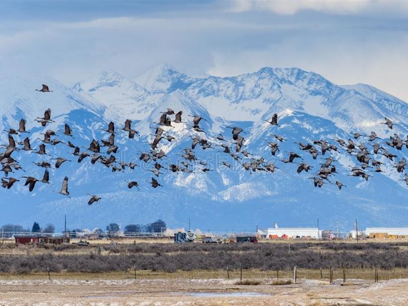 5 Ac, Costilla County, $99 Down : San Luis : Costilla County : Colorado