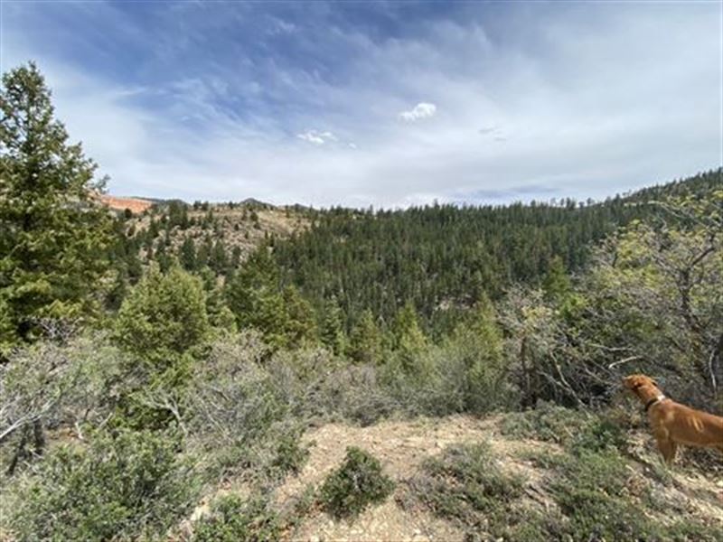 3+ Acres of Off-Grid Land : Kanab : Kane County : Utah