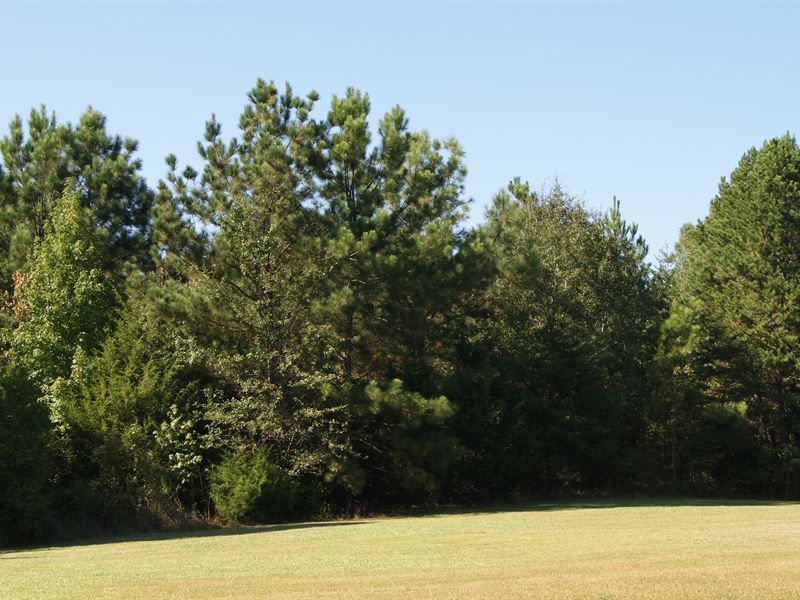 8.42 Ac Wooded Tract Near Woodruff : Woodruff : Spartanburg County : South Carolina