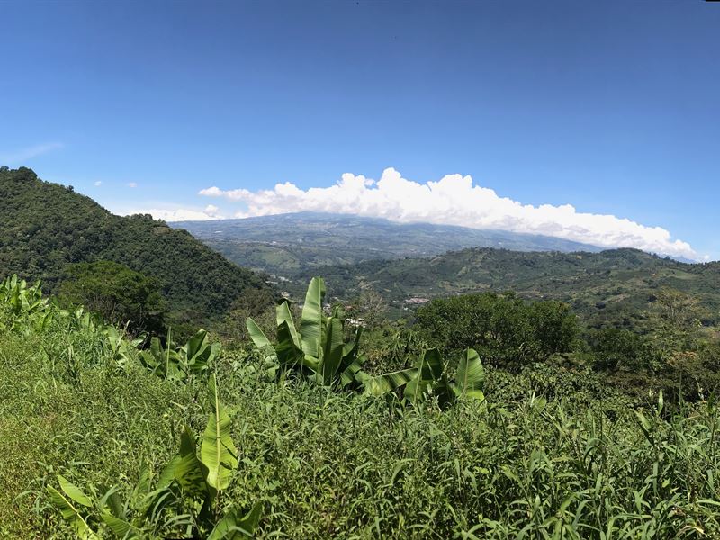 Eco Friendly Lots, River, Forest : Orosi : Costa Rica