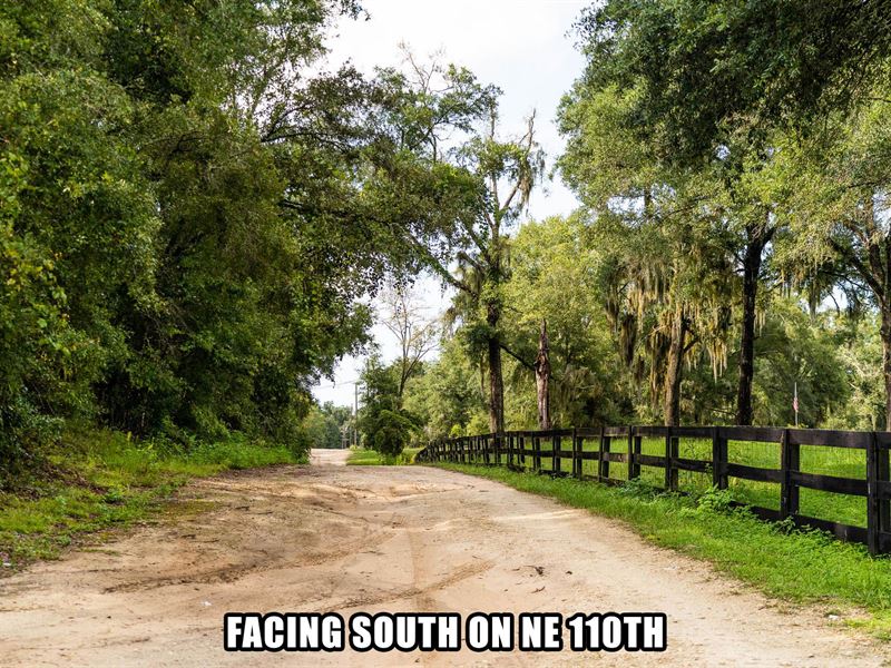 $3,900 Down, Seller Financed : Archer : Levy County : Florida