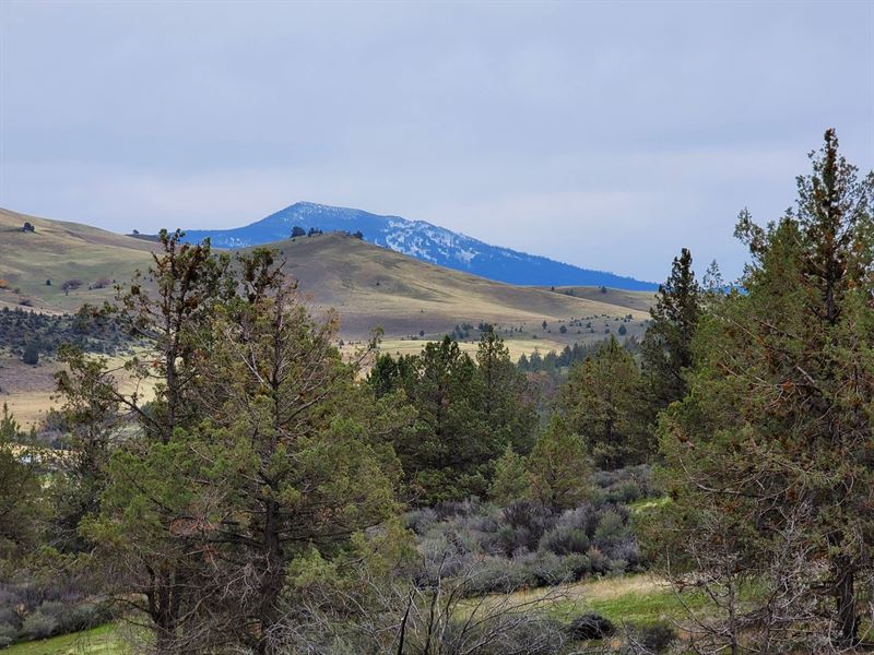 Beautiful Mt. Shasta Views : Hornbrook : Siskiyou County : California