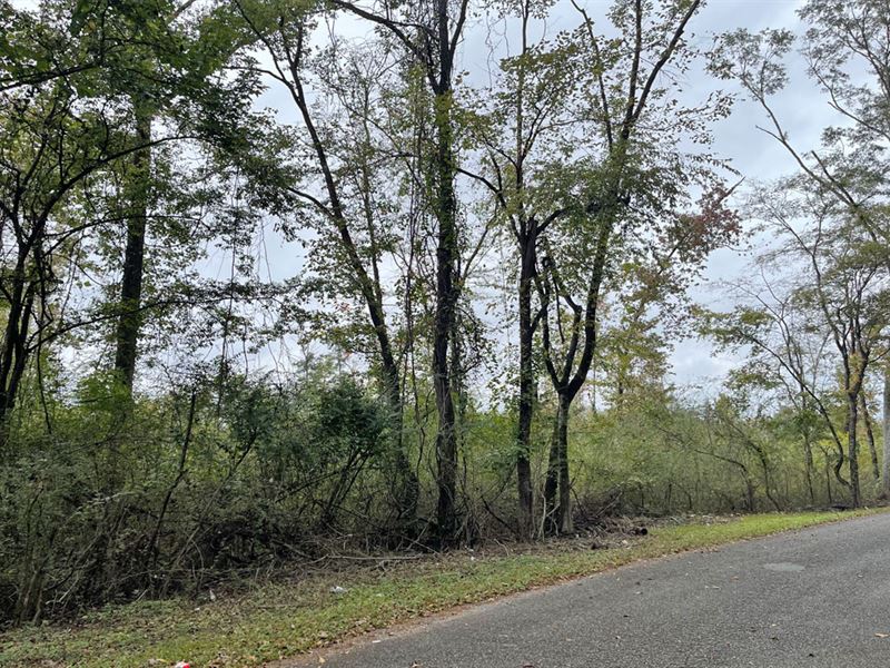 Calcis Tract : Vincent : Shelby County : Alabama