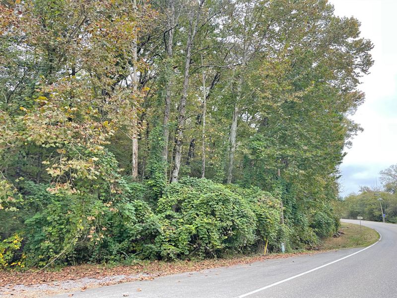 Justice Road Tract : Vincent : Shelby County : Alabama