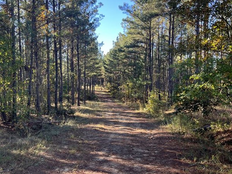 McMullan Tract : Tignall : Wilkes County : Georgia