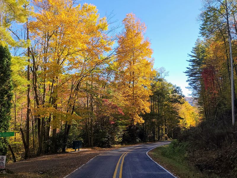 Sylva Mountain Tract : Sylva : Jackson County : North Carolina