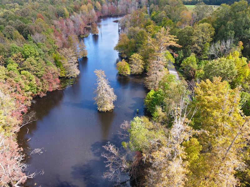 Merging Rivers Farm : Montgomery : Montgomery County : Alabama