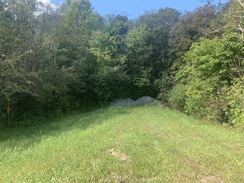 14 Ac, Close But Secluded : Mount Pleasant : Maury County : Tennessee