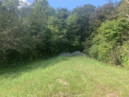 14 Ac, Close But Secluded : Mount Pleasant : Maury County : Tennessee