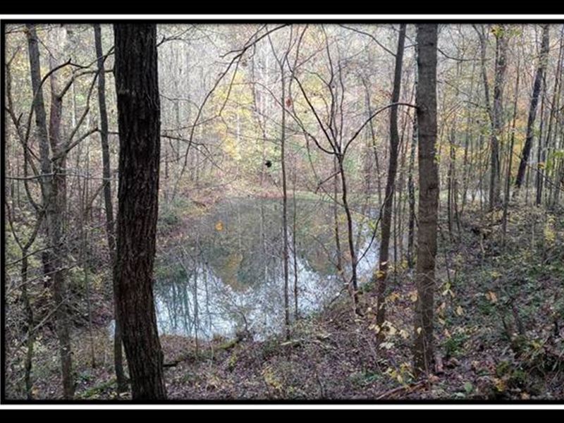 The Pond at Bohemian Woods : Corning : Perry County : Ohio
