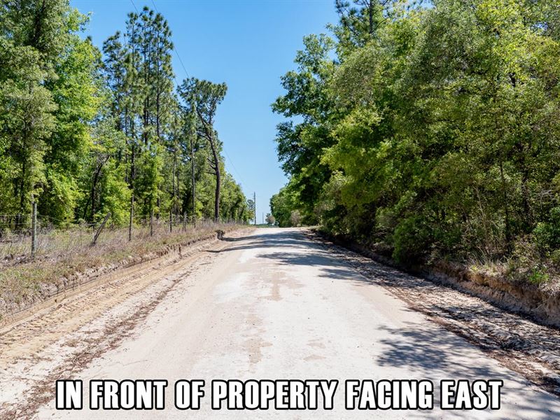 $3,900 Down, Mobiles Ok, No Hoa : Williston : Levy County : Florida