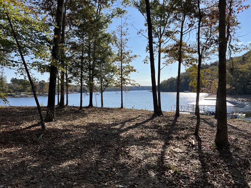 186 Acres on Smith Lake Land for Sale in Arley, Winston County