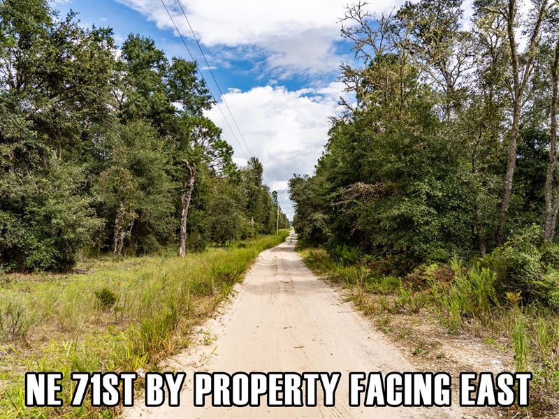 $9,900 Down, Mobile Ok, 2 Roads : Bronson : Levy County : Florida