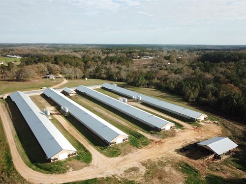 poultry farm for sale in alabama poultry farm for sale in alabama
