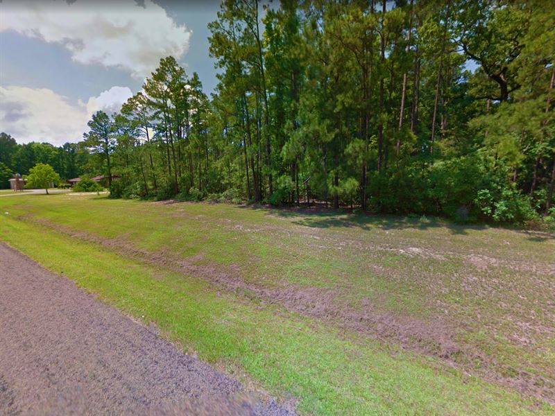 .16 Acre in Zavalla, Texas : Zavalla : Angelina County : Texas