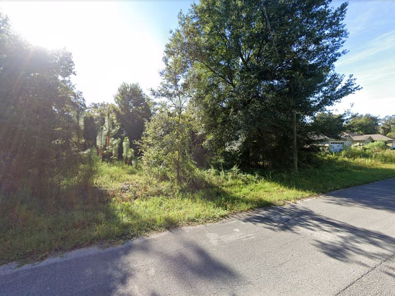.18 Acre in New Port Richey, $300 : New Port Richey : Pasco County : Florida