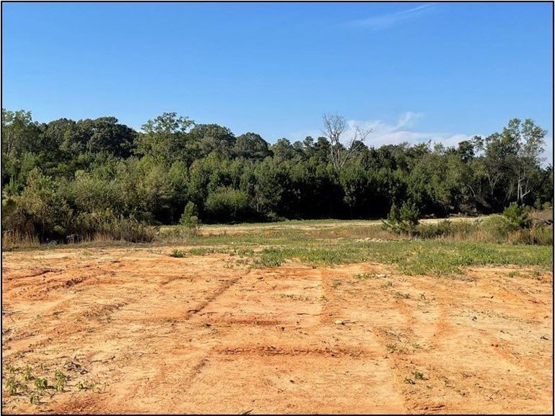 80.5 Acres in Madison County in Rid : Ridgeland : Madison County : Mississippi