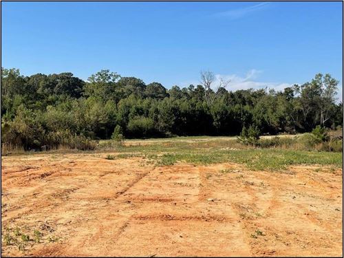 80.5 Acres in Madison County in Rid : Ridgeland : Madison County : Mississippi