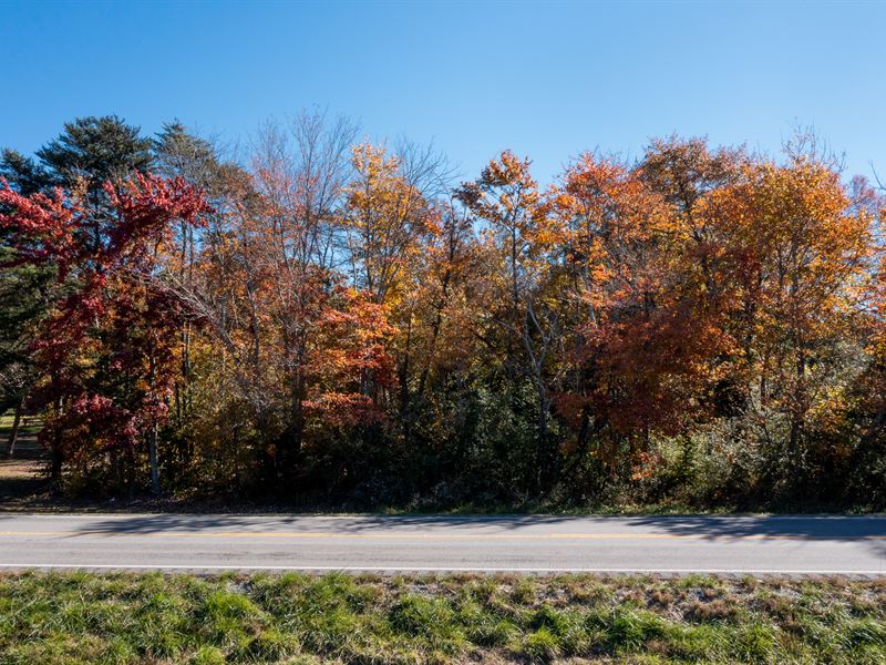 North Alabama Wooded Building Tract Land for Sale in Valley Head