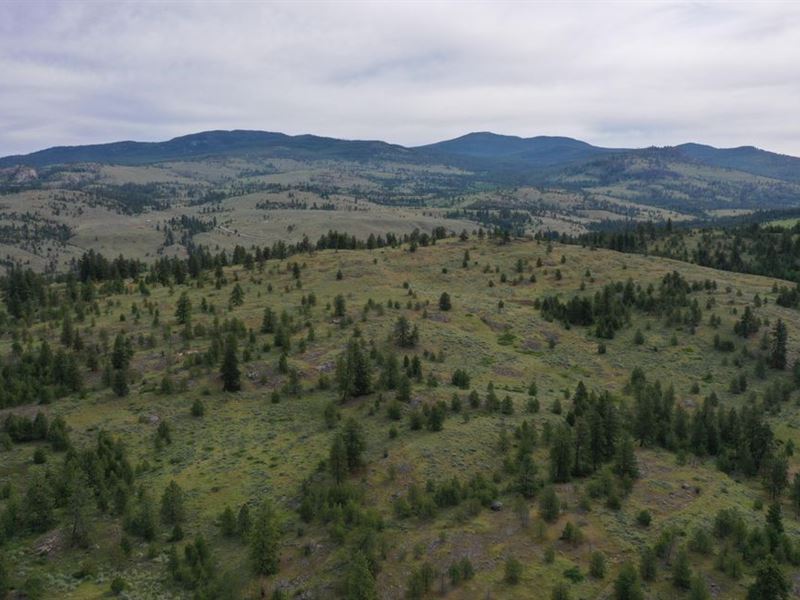 Property Near National Forest Land : Tonasket : Okanogan County : Washington
