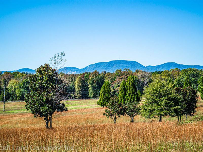 3 to 12 Acre Lots in Campobello, SC : Campobello : Spartanburg County : South Carolina