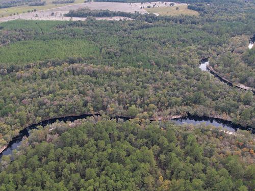 Suwannee River Hunting Lodge : White Springs : Columbia County : Florida