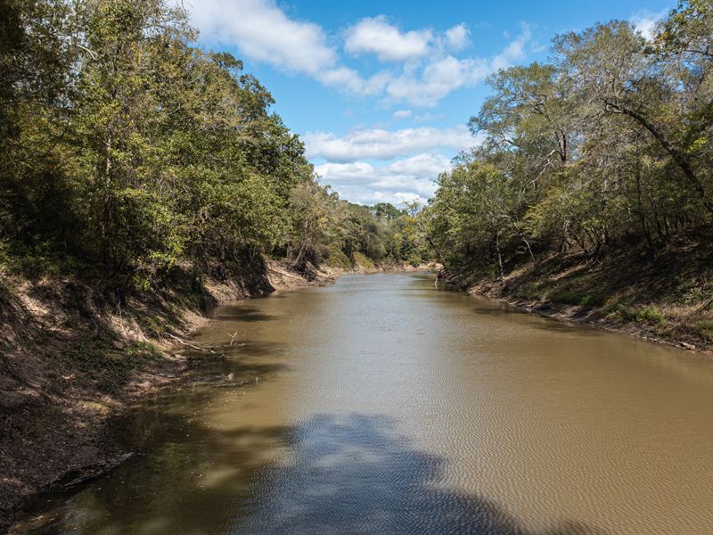 Sabine River TX Ranch Land for Sale Land for Sale in Hawkins, Wood