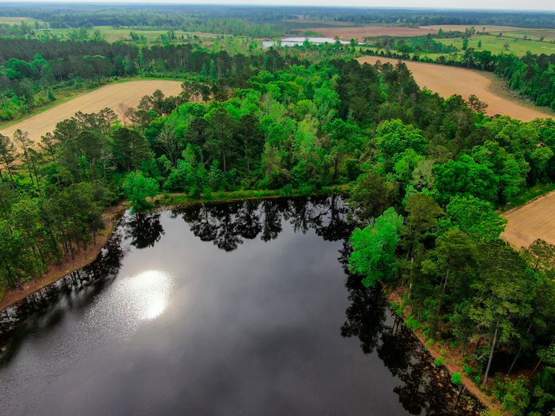 Income Producing Farmland : Carnegie : Randolph County : Georgia